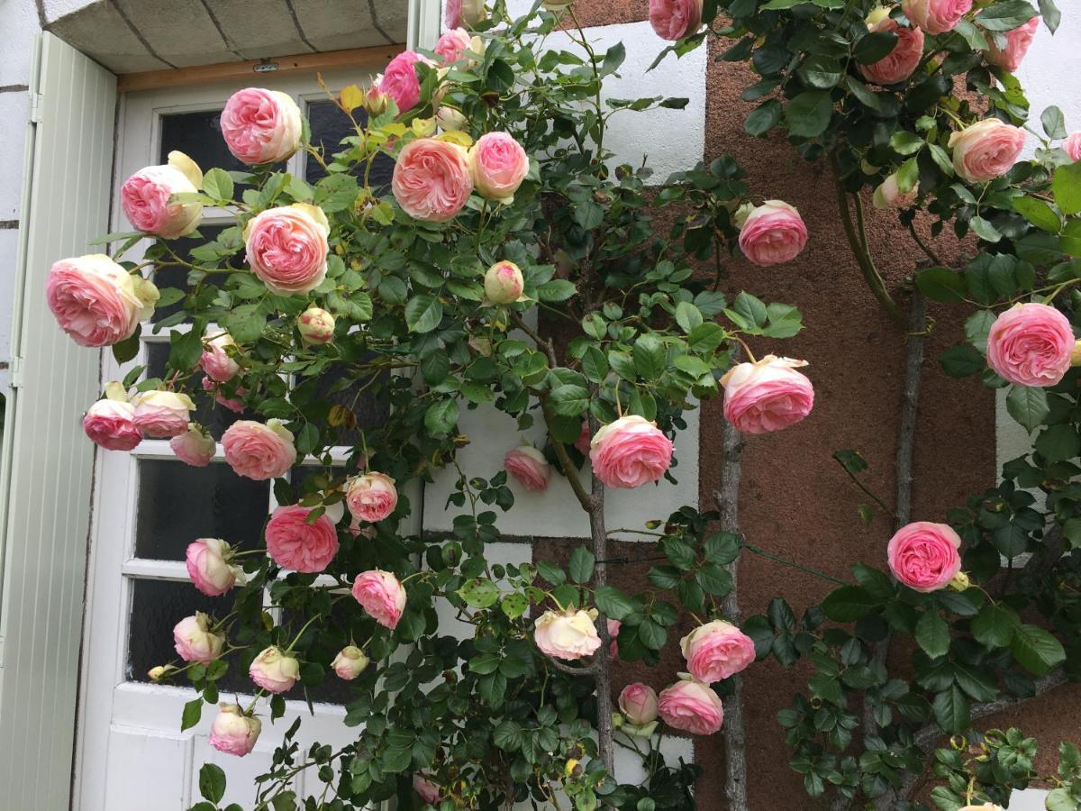 La Bauldiniere Bed & Breakfast Tauxigny Exterior foto